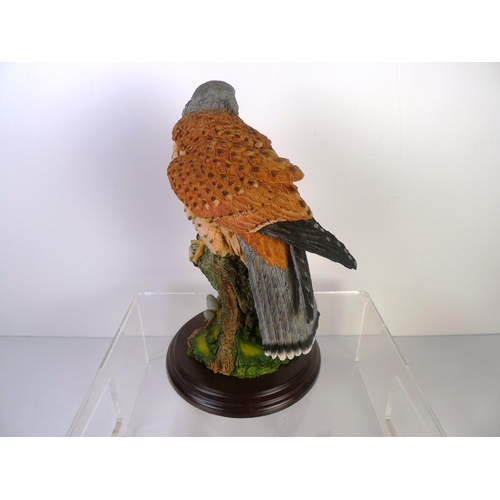 76 - A Country Artists red kestrel, 24cm tall