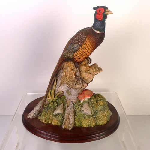 80 - A Border Fine Arts pheasant 