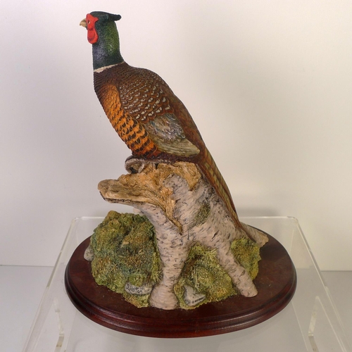 80 - A Border Fine Arts pheasant 