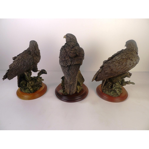 87 - 3 bronze coloured resin birds of prey, 25cm tallest