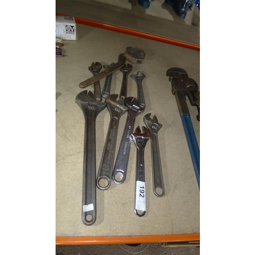 192 - 10 various adjustable spanners