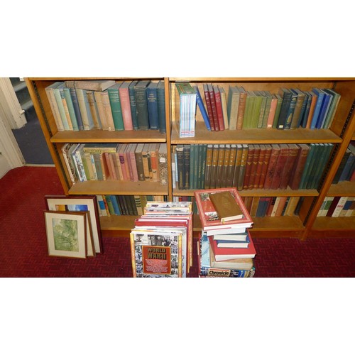 775b - Two bays of library books, mainly classics