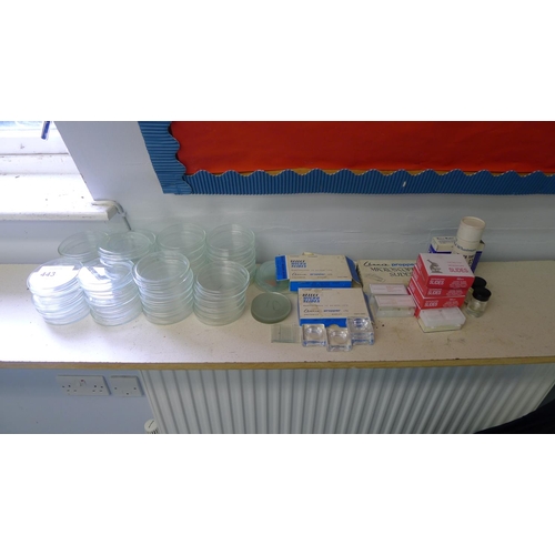 443 - A quantity of various items including microscope slides and glass Petri dishes