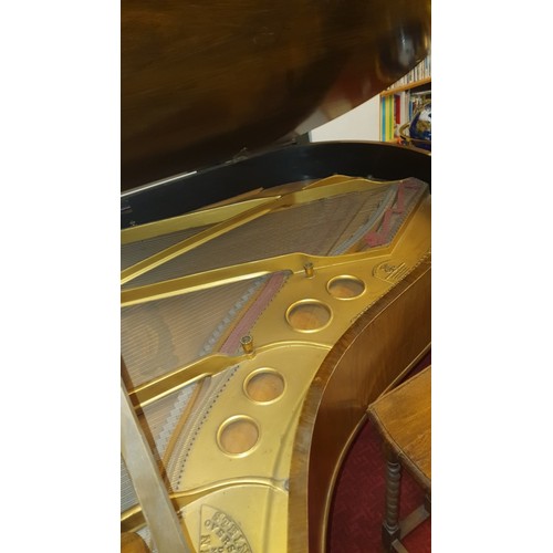 782 - A 1903 grand piano by Steinway & Sons, no 110564,  with duet stool