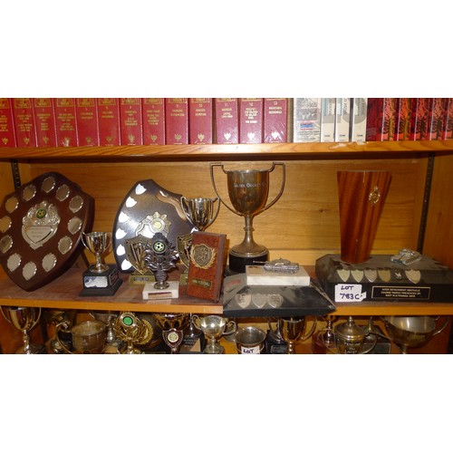 783C - A quantity of miscellaneous silver-plated and other trophy cups - Contents of 1 shelf