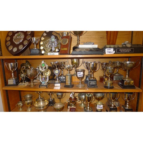 783D - A quantity of miscellaneous silver-plated and other trophy cups - Contents of 1 shelf