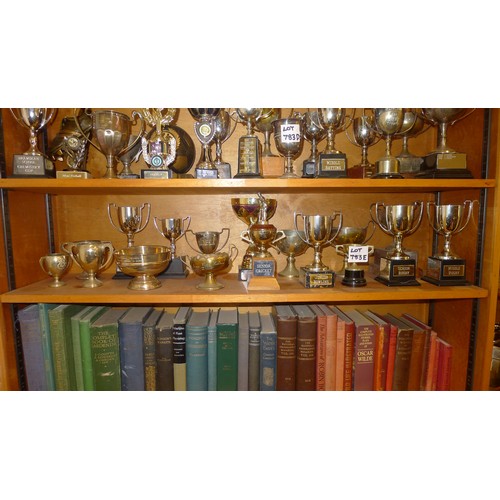 783E - A quantity of miscellaneous silver-plated and other trophy cups - Contents of 1 shelf