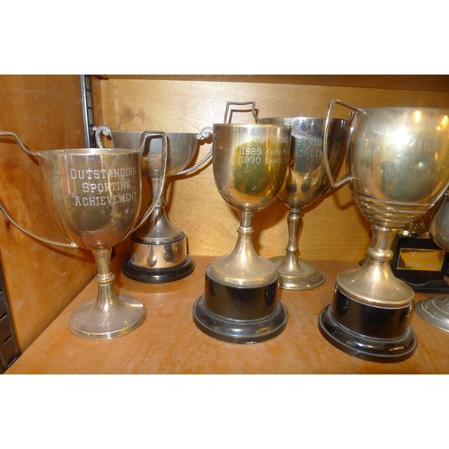 783A - A quantity of miscellaneous silver-plated and other trophy cups - Contents of 1 shelf