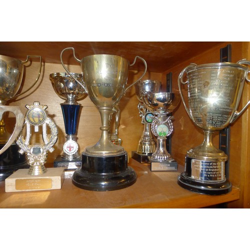 783B - A quantity of miscellaneous silver-plated and other trophy cups - Contents of 1 shelf