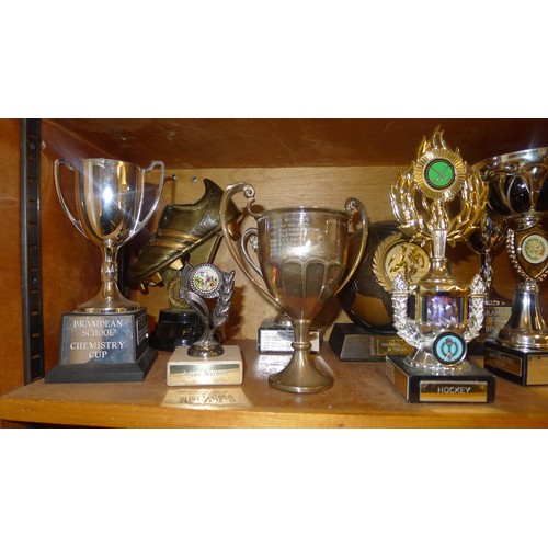 783D - A quantity of miscellaneous silver-plated and other trophy cups - Contents of 1 shelf