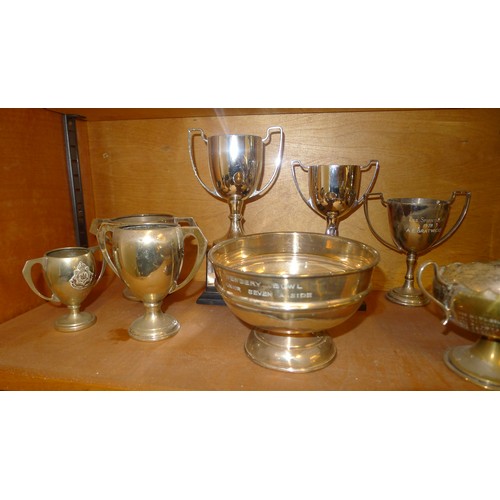 783E - A quantity of miscellaneous silver-plated and other trophy cups - Contents of 1 shelf