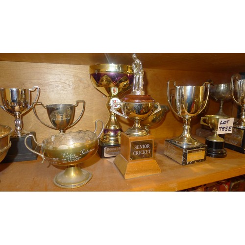 783E - A quantity of miscellaneous silver-plated and other trophy cups - Contents of 1 shelf