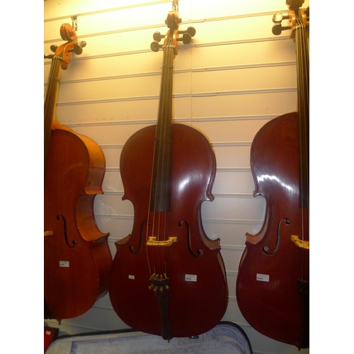 3044 - A cello