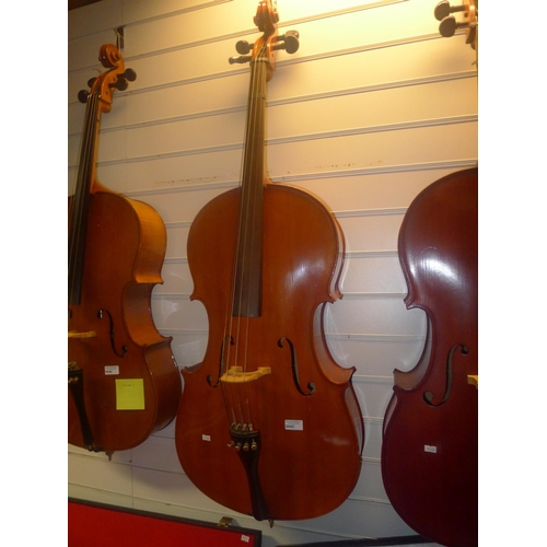 3045 - A cello