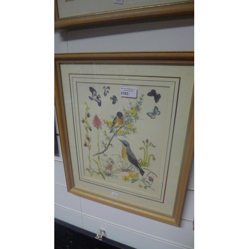 3183 - A set of 4 framed bird and floral prints