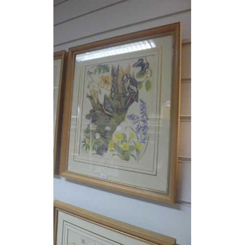 3183 - A set of 4 framed bird and floral prints