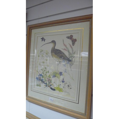 3183 - A set of 4 framed bird and floral prints