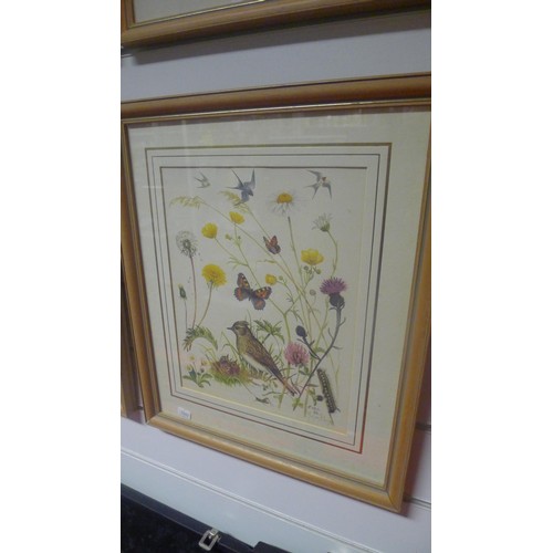 3183 - A set of 4 framed bird and floral prints