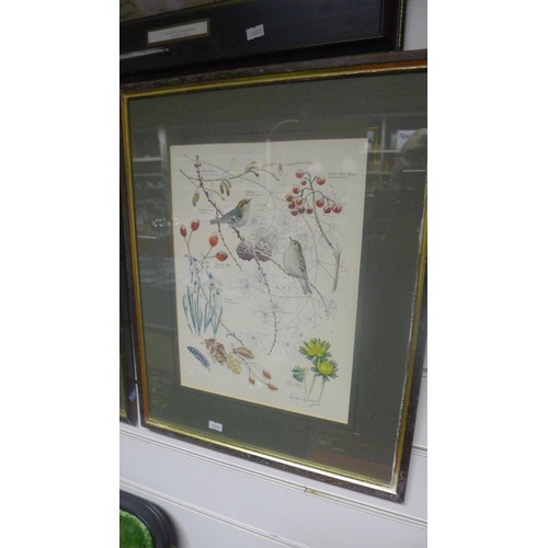 3185 - A set of 3 framed bird and floral prints