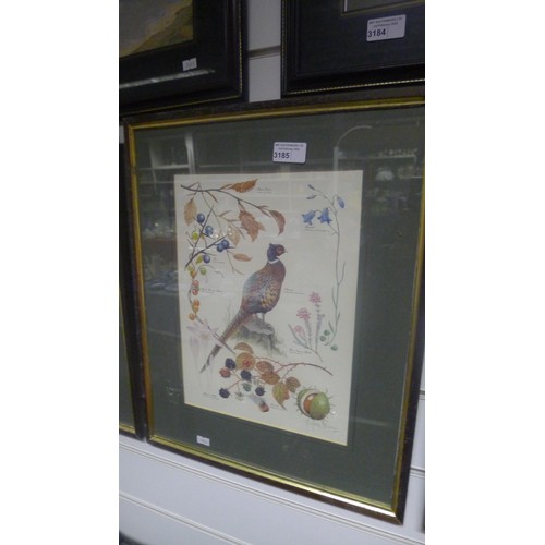 3185 - A set of 3 framed bird and floral prints