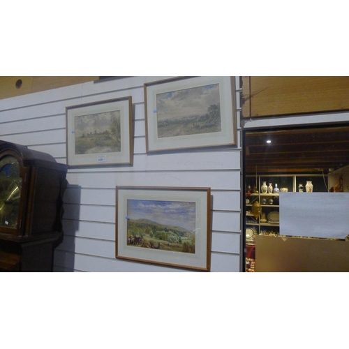 3351 - 3 framed water colours, two of which are signed R Cooper