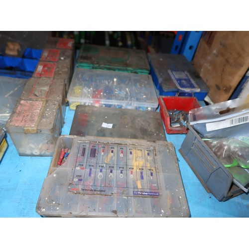 1198 - A quantity of various items including auto fuses, circlips, split pins, insulated terminals etc. Con... 