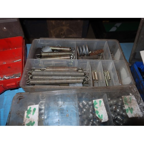 1198 - A quantity of various items including auto fuses, circlips, split pins, insulated terminals etc. Con... 