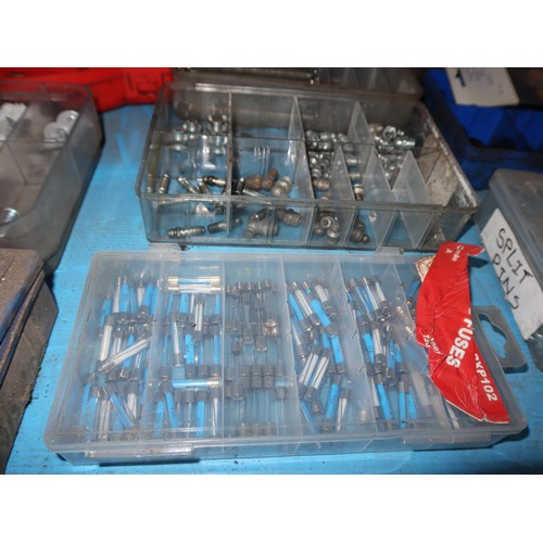 1198 - A quantity of various items including auto fuses, circlips, split pins, insulated terminals etc. Con... 