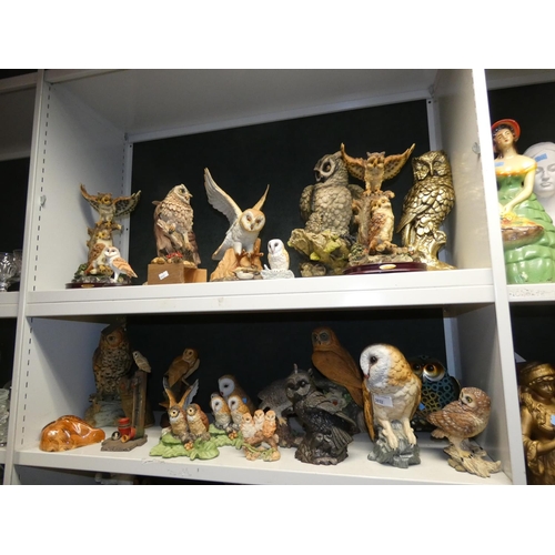 3032 - A collection of resin and ceramic owls (2 shelves)