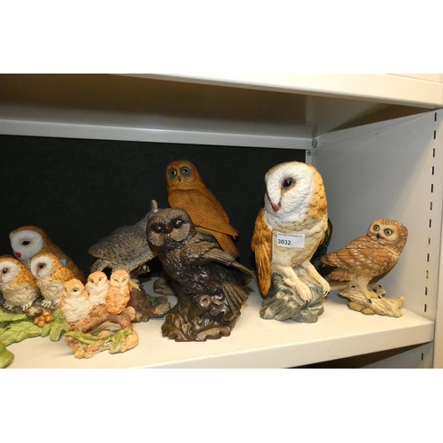 3032 - A collection of resin and ceramic owls (2 shelves)