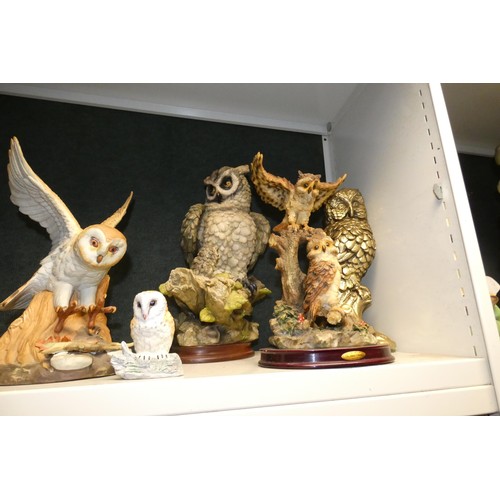 3032 - A collection of resin and ceramic owls (2 shelves)