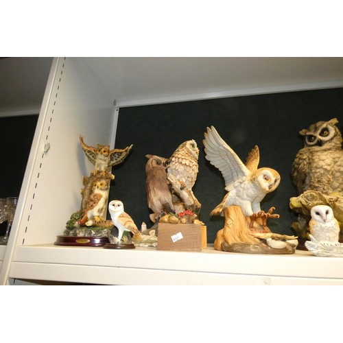 3032 - A collection of resin and ceramic owls (2 shelves)