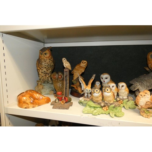 3032 - A collection of resin and ceramic owls (2 shelves)