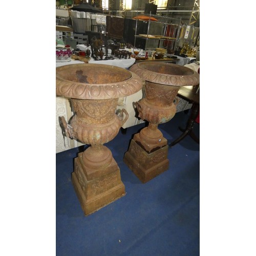 3487 - A pair of very ornate heavy cast iron 19th century garden urns with rectangular pedestals, approx 11... 