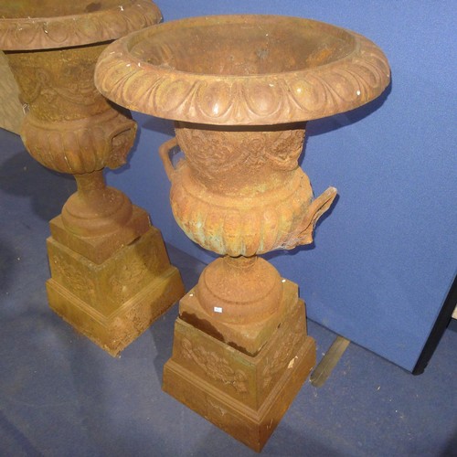 3487 - A pair of very ornate heavy cast iron 19th century garden urns with rectangular pedestals, approx 11... 