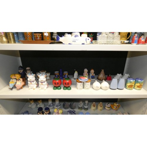 4099 - A collection of over 200 highly decorative cruets and salt & pepper sets (14 shelves)