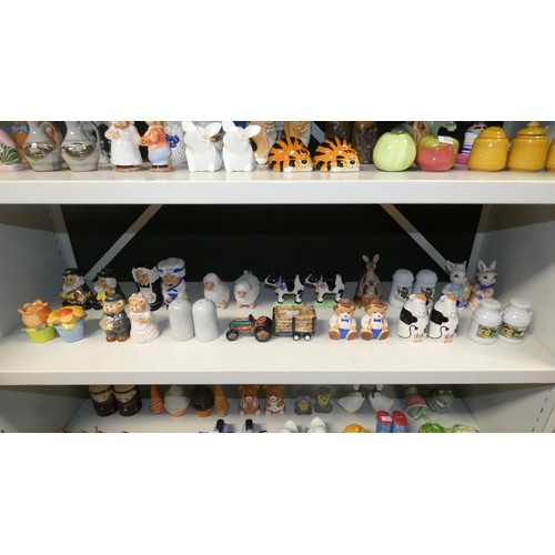 4099 - A collection of over 200 highly decorative cruets and salt & pepper sets (14 shelves)