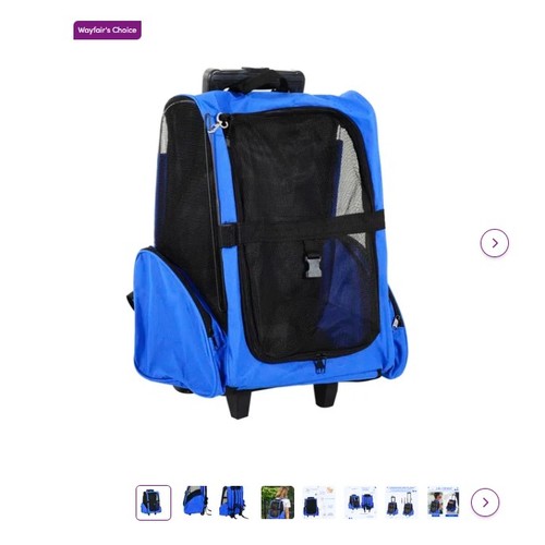 16 - 1 Ebony pet carrier - blue