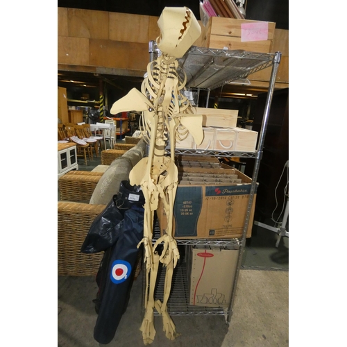 2200 - A cardboard skeleton