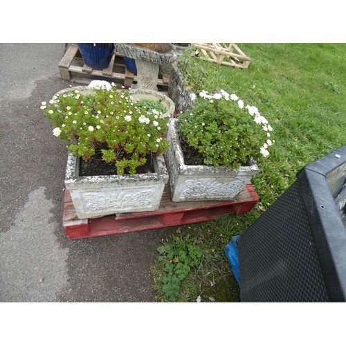 2583 - 2 X white painted weathered concrete planters