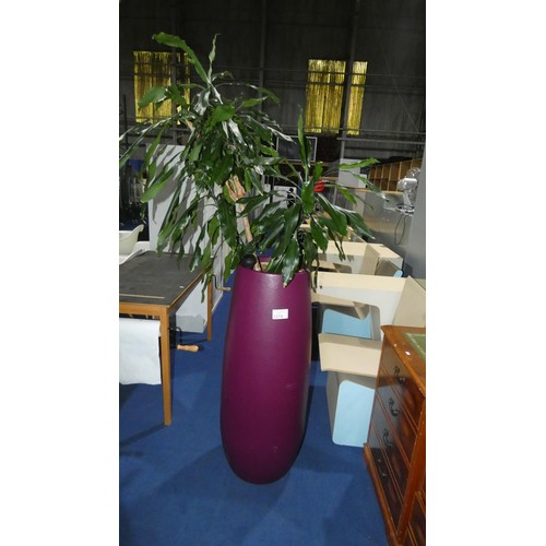 1274 - 1 live plant in a dark purple round planter approx 104cm high