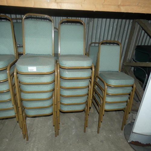 1437 - 30 x stacking upholstered banqueting type chairs