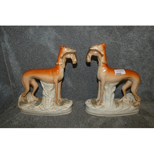 2842 - A pair of Staffordshire greyhounds carrying dead hares