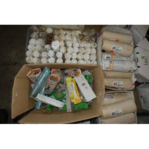 5031 - 1 pallet containing a quantity of various light bulbs. Not practical to list in detail so please vie... 