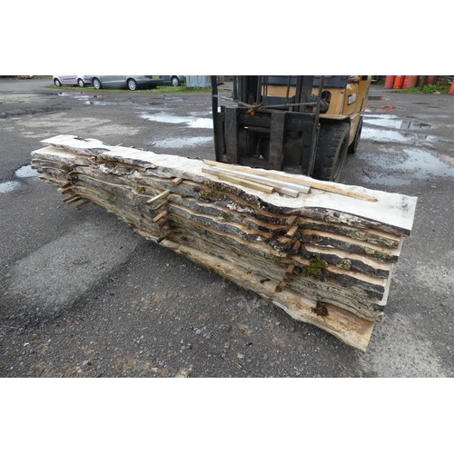 6875 - A quantity of Maple waney edge boards measuring up to approx 51cm x 3cm x 268cm