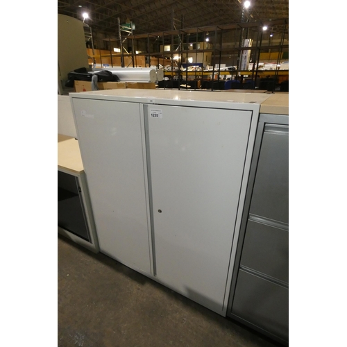 1255 - A light grey metal 2 door office cabinet approx 100 x 48 x 118cm high no shelves