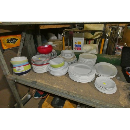 1081 - A quantity of various crockery including bowls plates etc. Contents of 1/2 a shelf