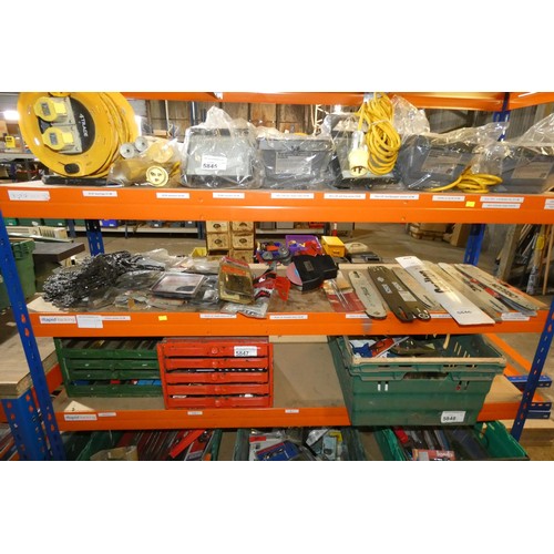 5846 - A quantity of various chainsaw related items including spare chains, bars and a Martek sharpener. Co... 