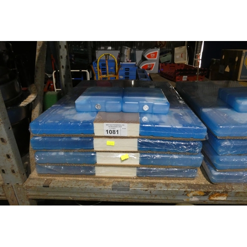 1081 - 4 x packs containing 8 large freezer packs by SoFrigam plus 2 loose (34 in total)