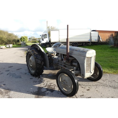 16 - Grey Ferguson Tractor , 1950s no reg number, 4 cylinder diesel, starts and runs, Barn find in good c... 
